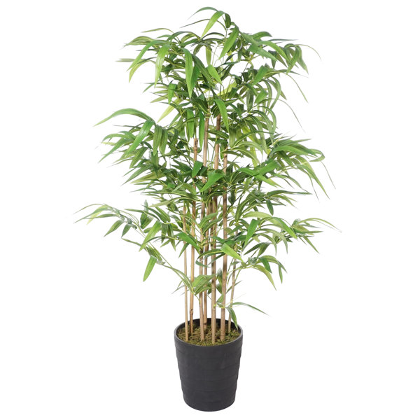 Primrue Artificial Bamboo Tree in Pot & Reviews Wayfair Canada